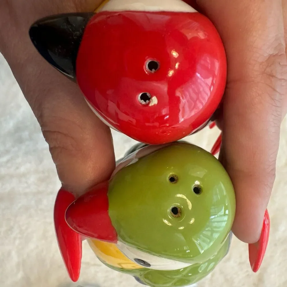 Pier 1 Salt and Pepper Shakers Kitchen Decor Birds Parrots‎ Macaw Set Colorful